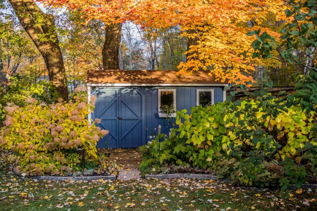 blue shed in autumn