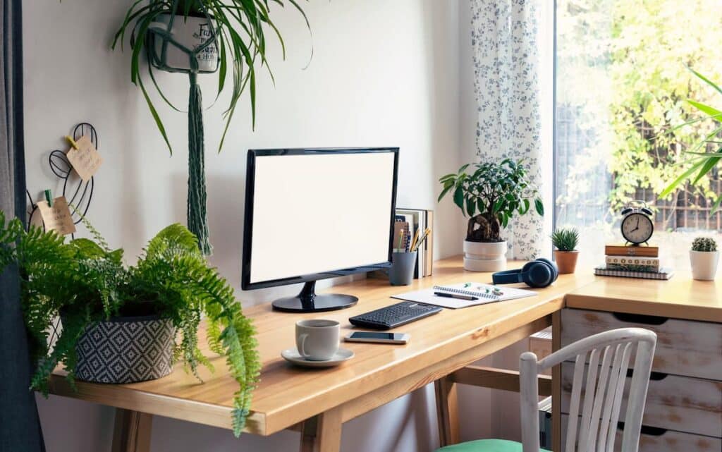 interior of office space with plants