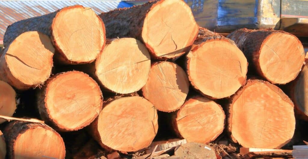 Close view of a Red Cedar log pile