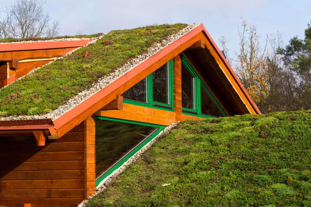 green roof