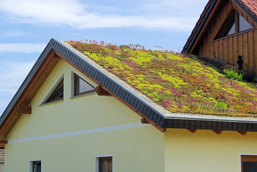 green roof living roof
